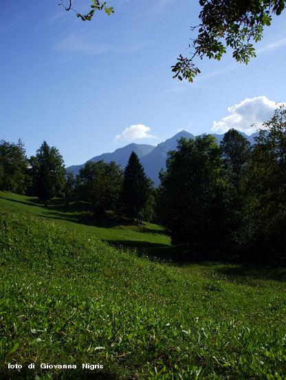 prato verde a Lauco.JPG